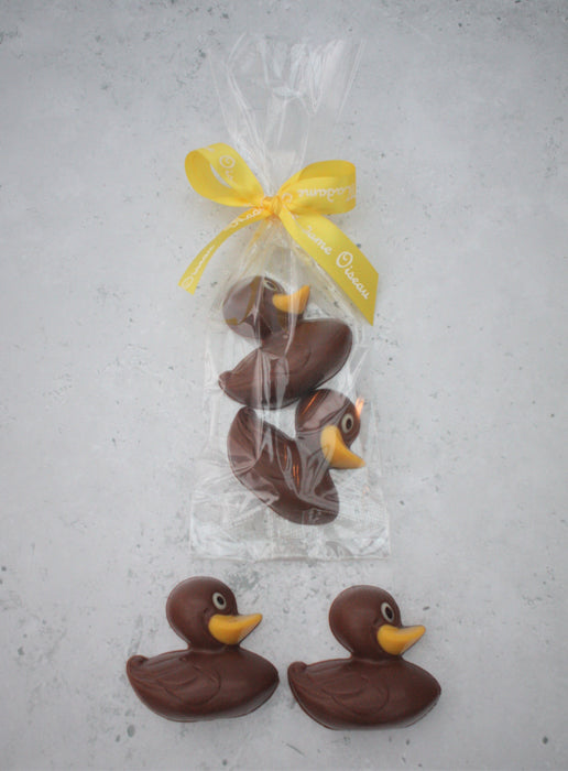 Two Rubber Ducks