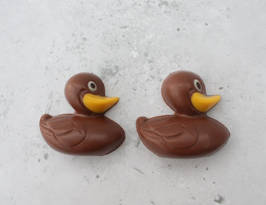 Two Rubber Ducks