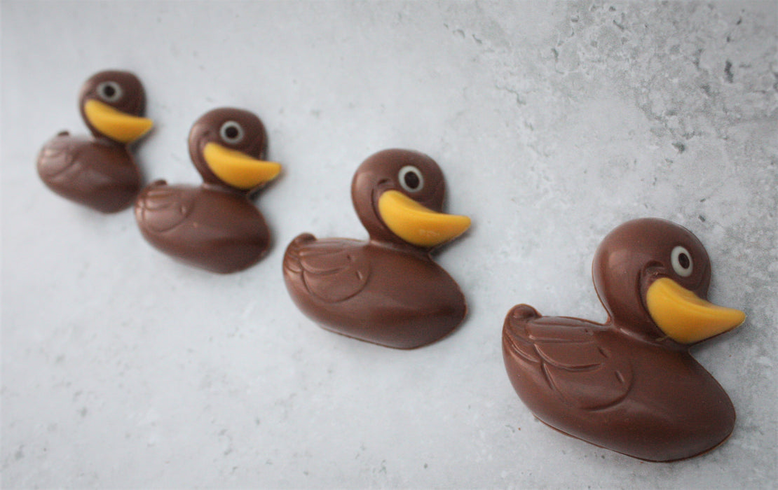 Two Rubber Ducks